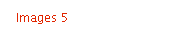 Images 5